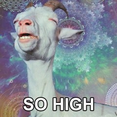 So High - Super Senior - Gerry The Truth