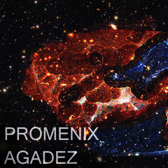 PROMENIX AGADEZ
