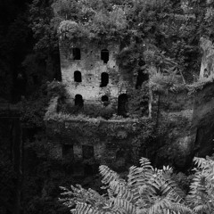 (Las 100 Preguntas Dramáticas De) Steve & Carol