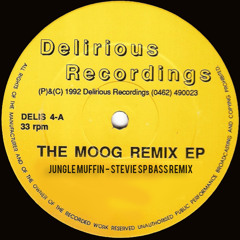 The Moog Jungle Muffin (STEVIE SP BASS REMIX)(FREE DOWNLOAD)