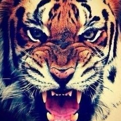 AlpDens - Inimical (Scratch Mix)