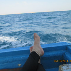 حكاية مركب - قصة من قلب الحدث :D