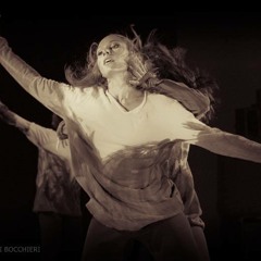 "Emersione, Anelastica" (Massimo Massimi, 2014)