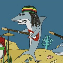 Reggae shark