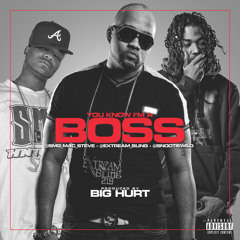 Extream Bling ft Snootie Wild & SMG Mac Steve-You know Im a Boss