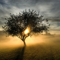 Early Morning ft. Goodcat