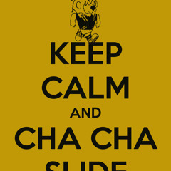 Cha Cha slide Vs Hit It Deorro (Mpress Mashup) 50 Likes for download
