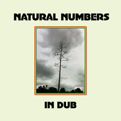 Natural Numbers - Dub & Blind