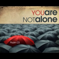 You Are Not Alone