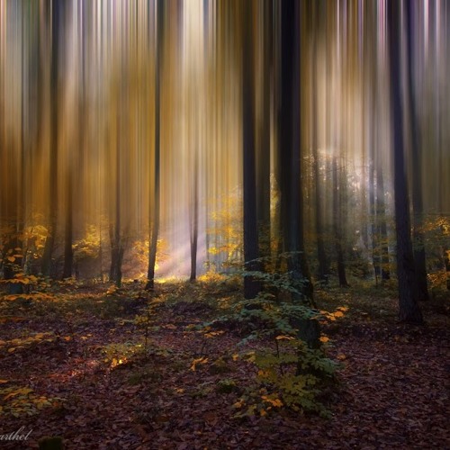 WarpStep - Transform and fly