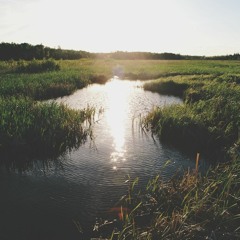 The Great Escape - Patrick Watson cover, Sick Edition