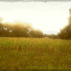 Estoy Loco Por Ti  -  sOnii