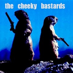The Cheeky Bastards - Agents of Kaos