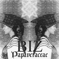 Biz - Papaveraceae
