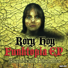 Rory Hoy - Party On This Side - Skeewiff's Disco Party Remix