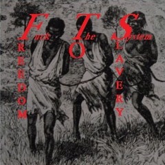 **FTS**Fuck The System-FREEDOM TO SLAVERY