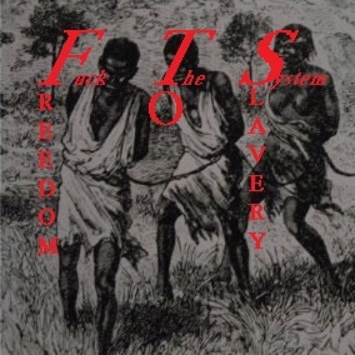 **FTS**Fuck The System-FREEDOM TO SLAVERY