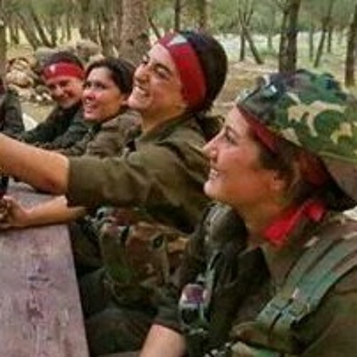 gulmek azadi-hozan dino