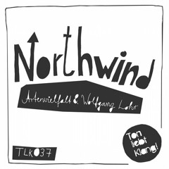 Artenvielfalt & Wolfgang Lohr - Northwind (Original Mix)