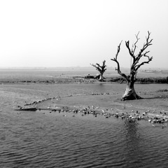 at a distance