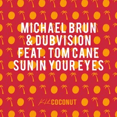 Michael Brun & DubVision - Sun In Your Eyes (LikeASir Remix)