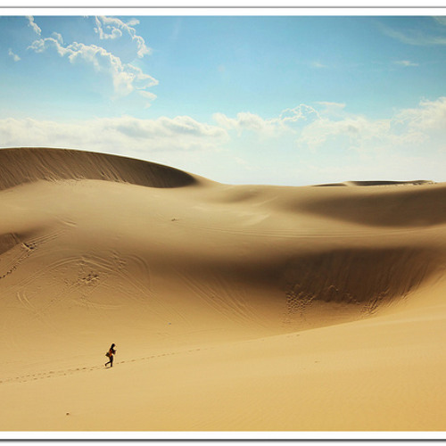 Lost in the desert...