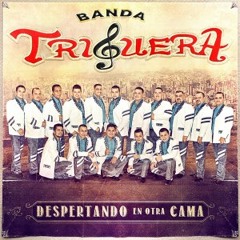 Despertando En Otra Cama- Banda Triguera (2014)