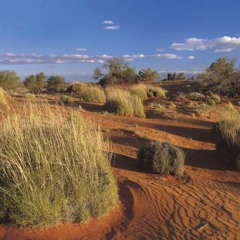 Vent, Sable Et Broussailles - blues hiphop instrumental