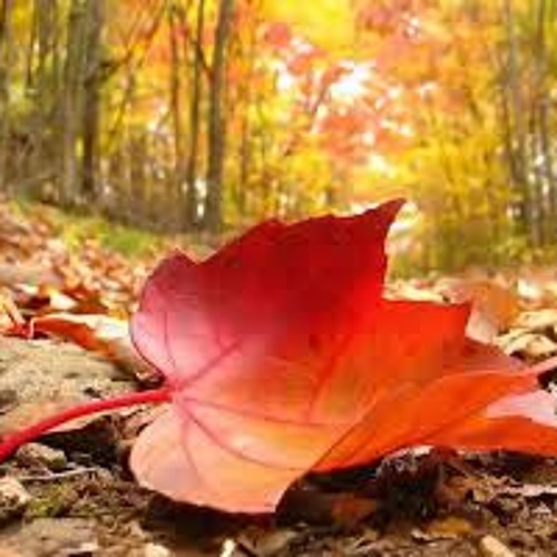 Sisters Natsvlishvili_,,imgere rame,,