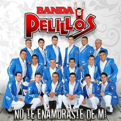 No Te Enamoraste De Mi- Banda Pelillos (2014)