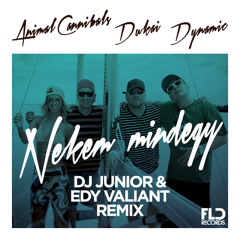 Dynamic, Dukai Regina, Animal Cannibals - Nekem Mindegy (Dj Junior & Edy Valiant Remix Edit)