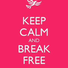 Arianna Grande - Break Free (Night Mood Inc. Edit)