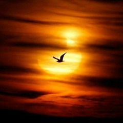 Team Magic- family -feat Topkill -LA VIE A DEUX