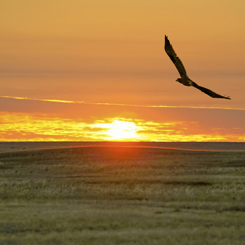 Iannis Xenakis "Zyia", live 13.09.14 WDR