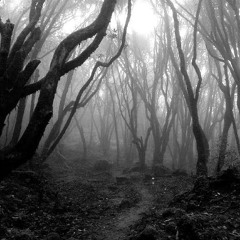 SI TE ATREVES- The YesF ft Makiller ft rex wilds