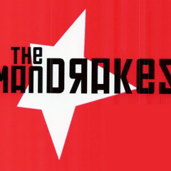 The ManDRAKES  - The New Tigers