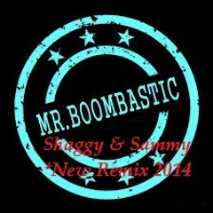 Mr.Boombastic Remix Cover