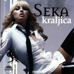 Seka Aleksic - Poslednji let - (Audio 2007)