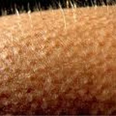 BongoAsylum Safrio Duo Vs Khomha CarMa Mash Up