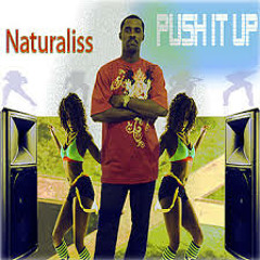 Naturaliss - Push It Up