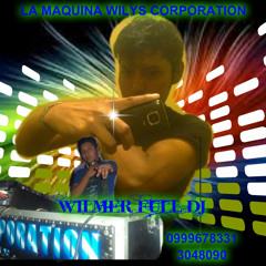 WILMER FULL DJ DEMO De Dos Temas De REGUETON EMBALADO  2014 Wilys Corporation