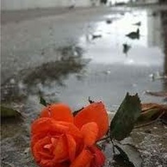 Dozen Roses HANK SEVERE feat. WUNDAMIKE and Jonell GodLee