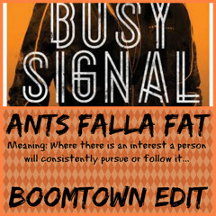 Busy Signal - Ants Falla Fat (BoomTown Edit)