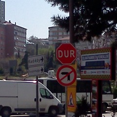 Bewilder/The Human Chain