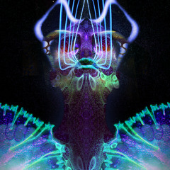 mr.c