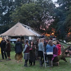 Phat Bollard @ Offgrid.WAV