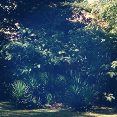 nocturnal emissary slo