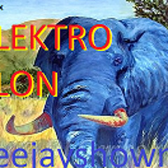 DJ SHOW ME - Elektro Slon