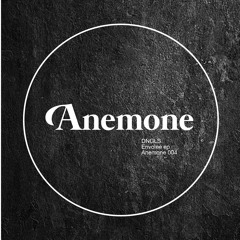 DNGLS - Four Layers -Anemone Recordings