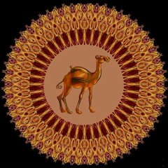 SnooK - You Can Drive My Camel